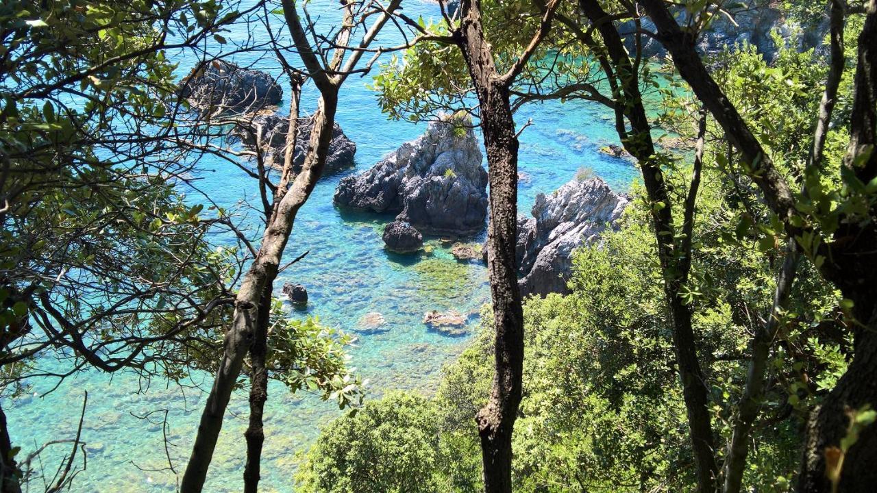 Hotel Cala del Citro Maratea Exterior foto